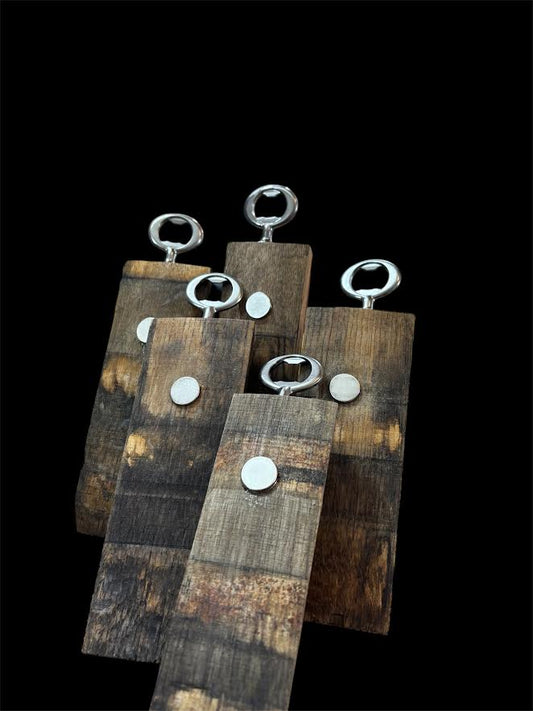 Wine stave bottle opener with magnet